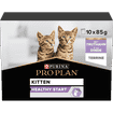 Kitten Healthy Start Truthahn