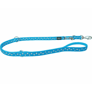Leashes Design White Stars on Turquoise
