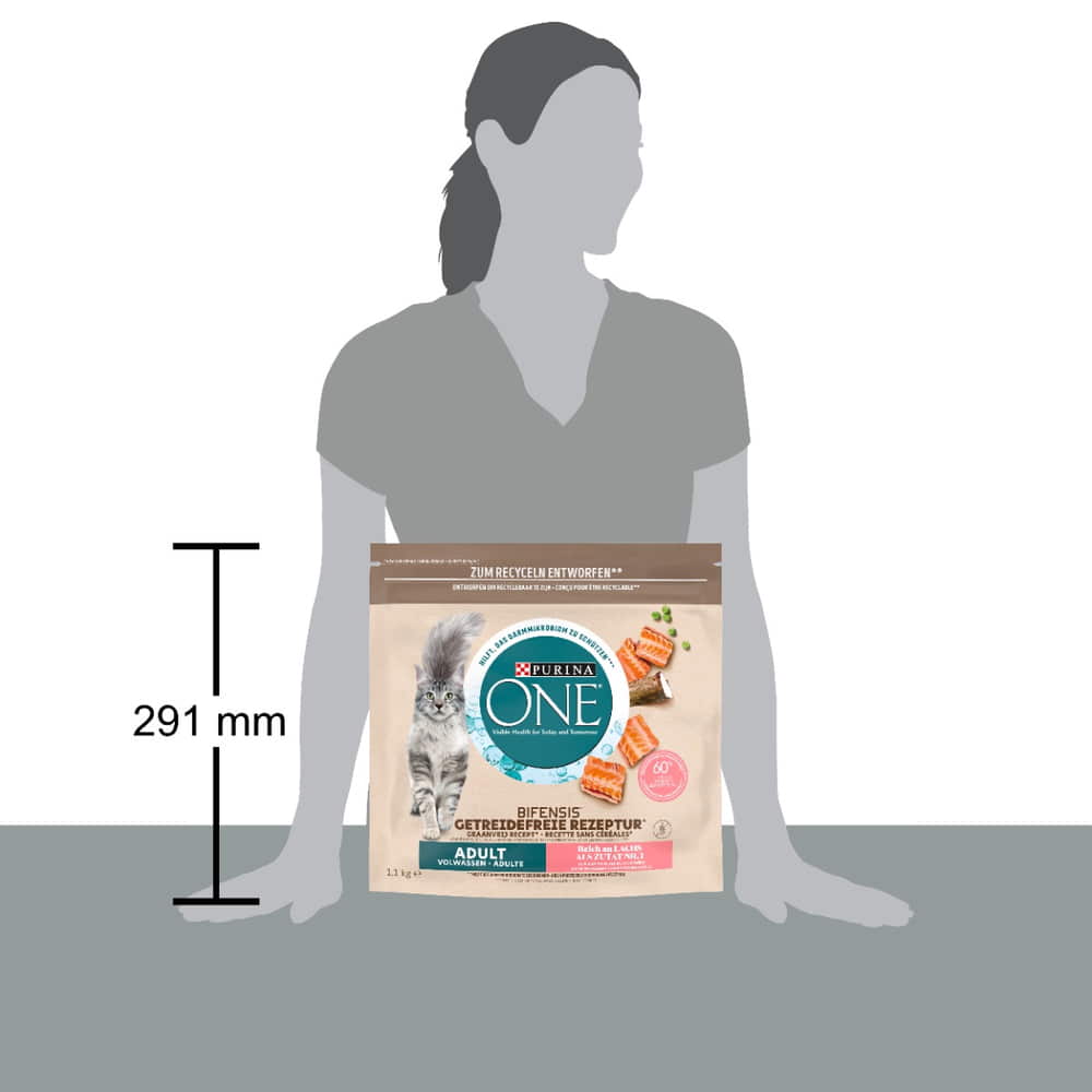 Bifensis Grain Free Adult