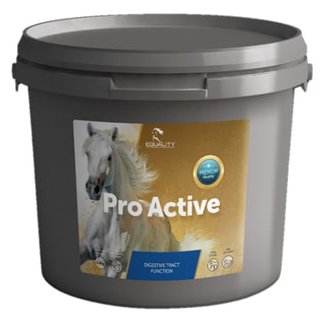 Pro Active