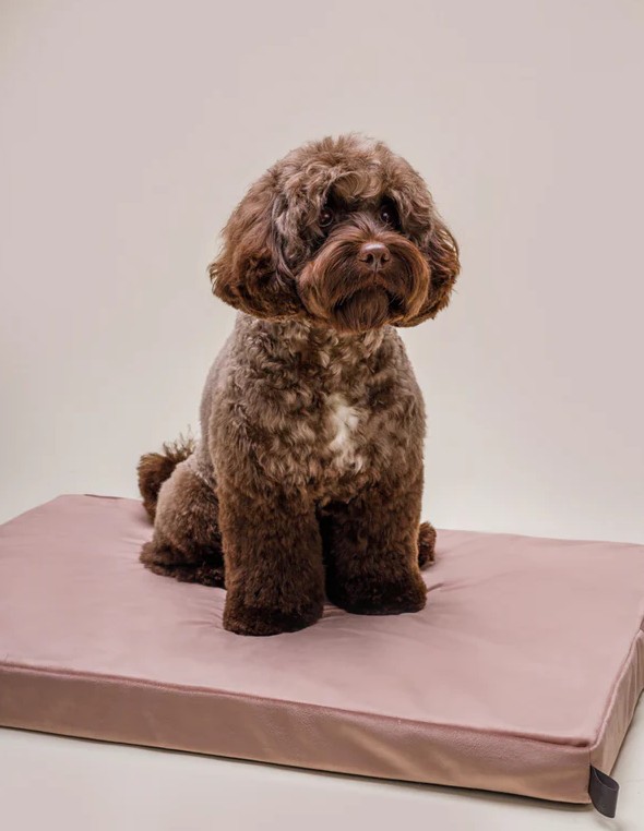 Matelas orthopédique pour chiens Chill Dusty Rose