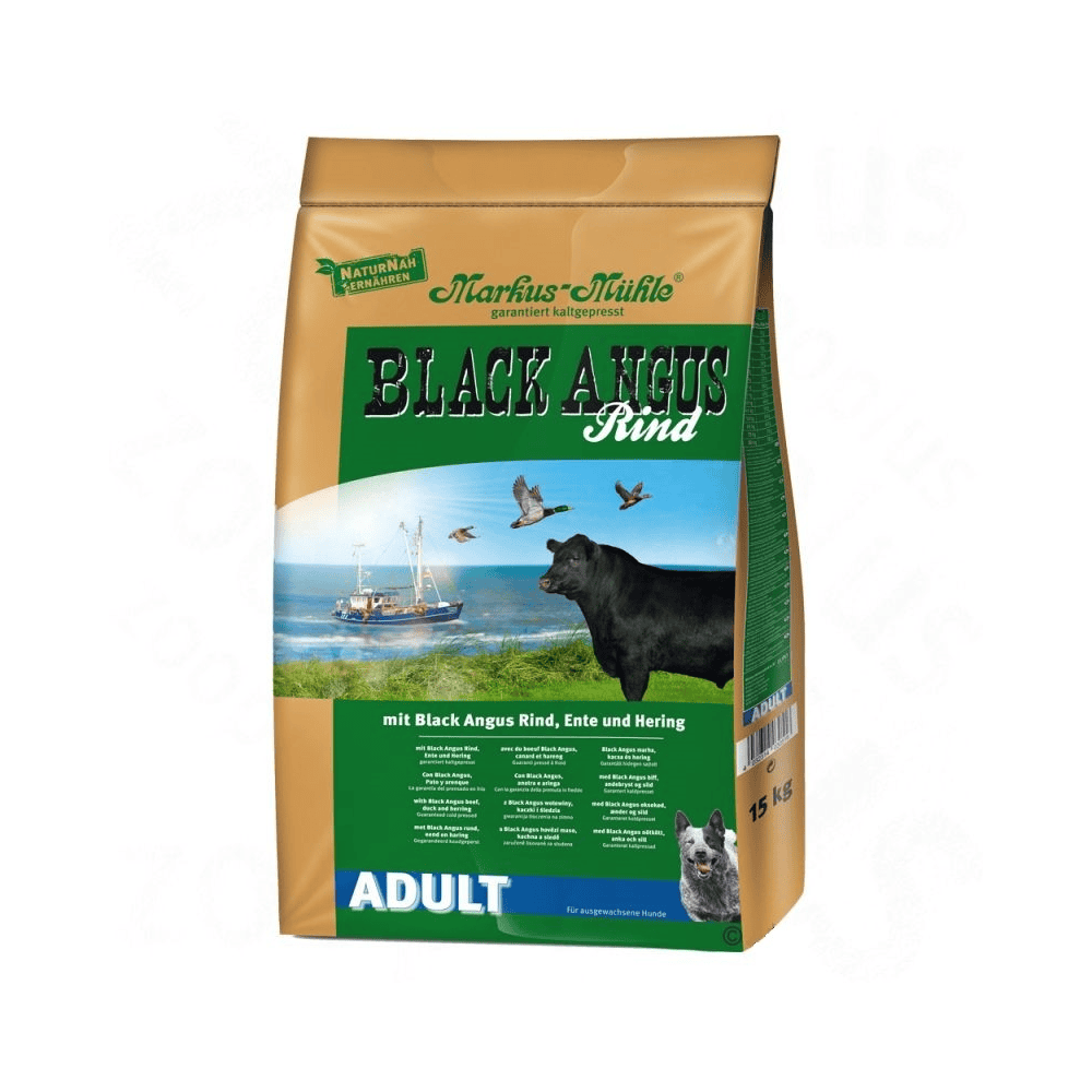Black Angus Adult