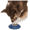 Dog Activity Memory Trainer 3.0