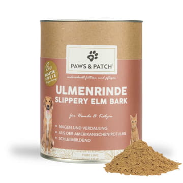 Ulmenrinde Pulver