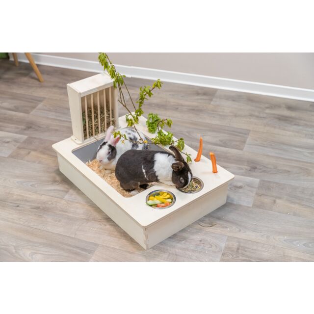Station d'alimentation pour lapins