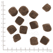 Dark Forest Squashies