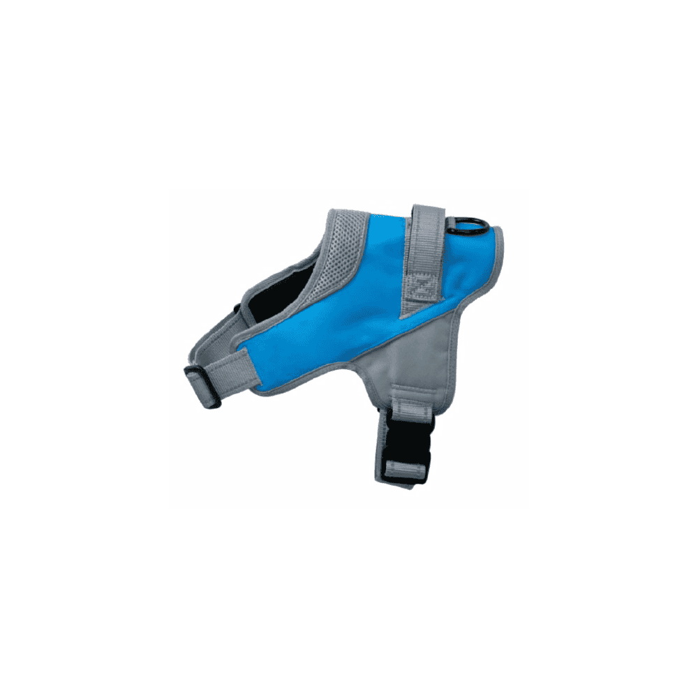 Geschirr Onyx, reflextierend, blau