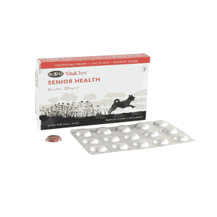 Vital Chew Senior Health
