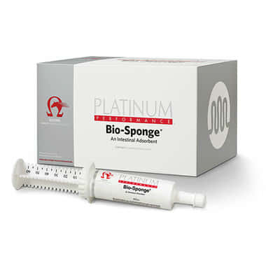 Bio-Sponge Spritze
