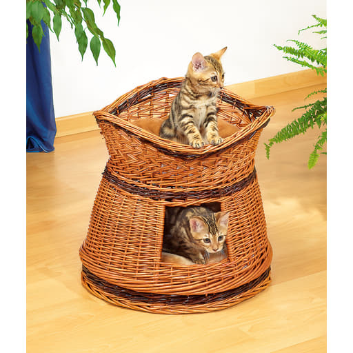 Tour habitable pour chats swisspet Shiva