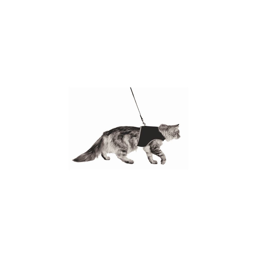 Harnais soft avec laisse pour chats