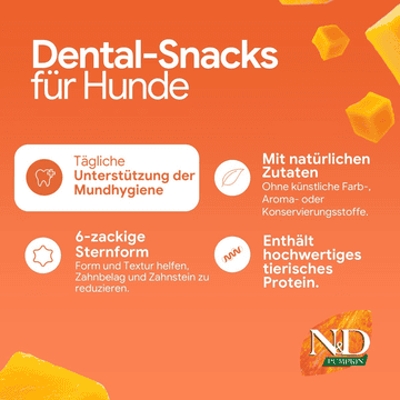 Canine Adult Mini Lamm & Heidelbeeren - Dental Treat