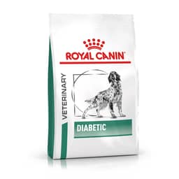 Diabetic Dog