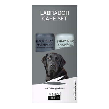 Labrador Care Set Dark