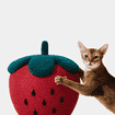 Colonne griffoir Strawberry