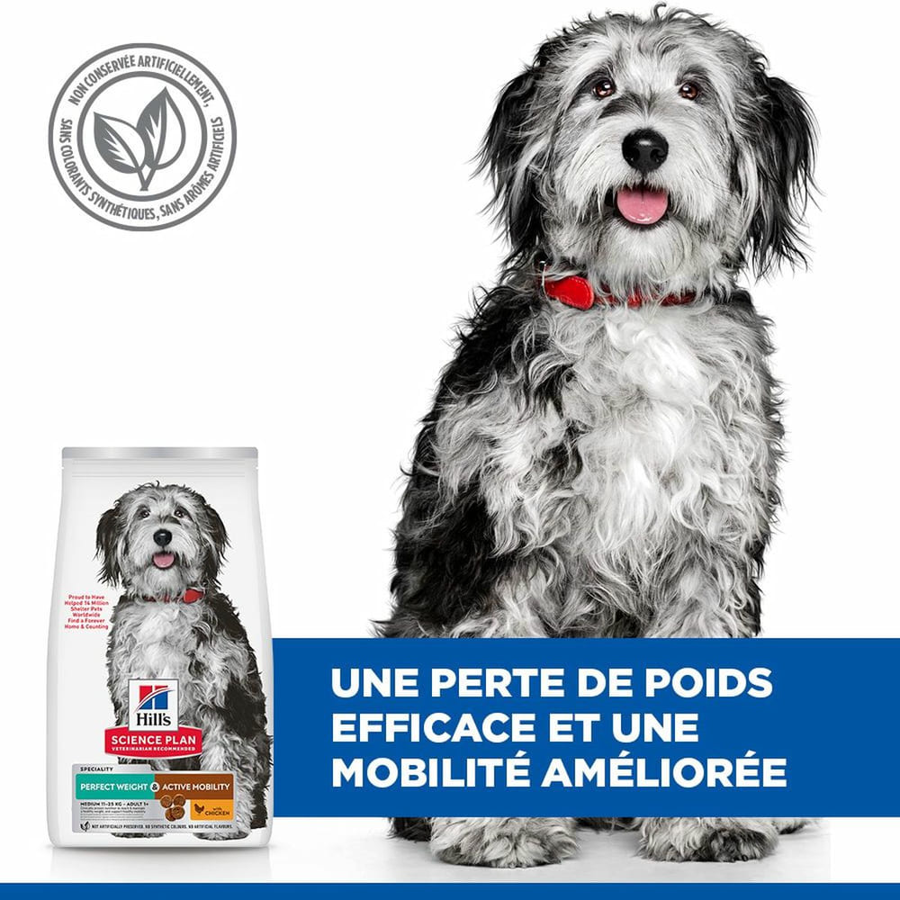 Canine Perfect Weight + Active Mobility Medium Breed
