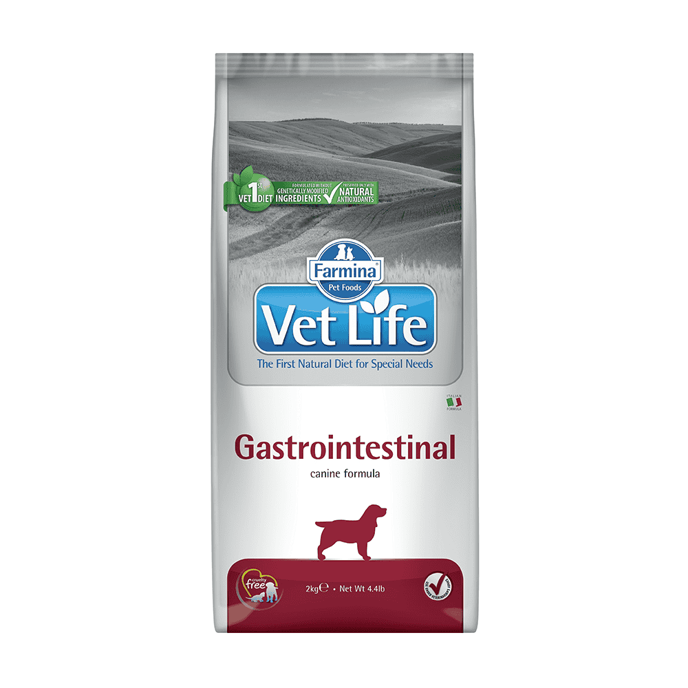 Canine Gastrointestinal