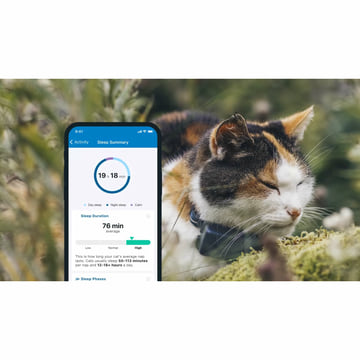 GPS Tracker für Katzen