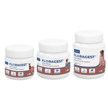 Floragest Soft Chews Hund