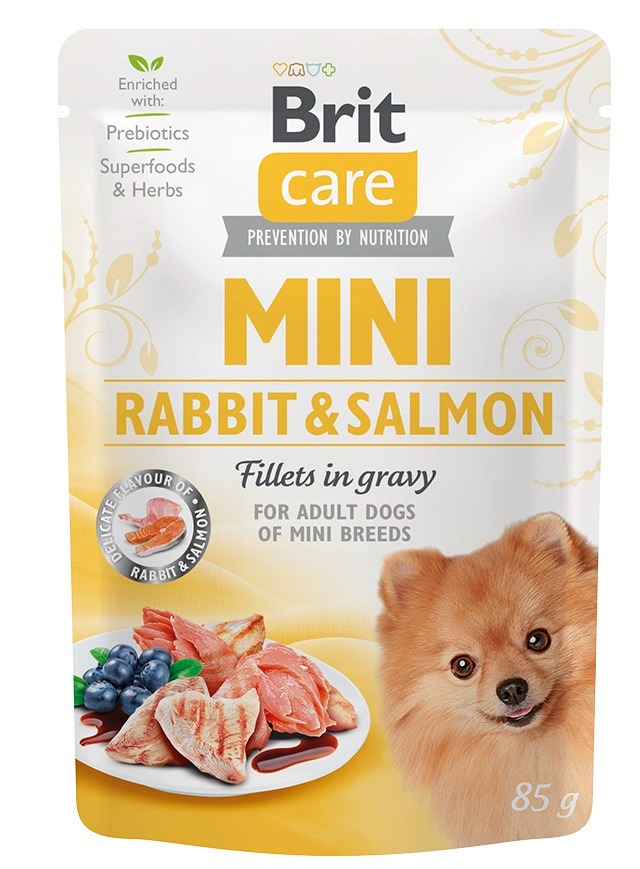 Care Mini Rabbit &amp; Salmon