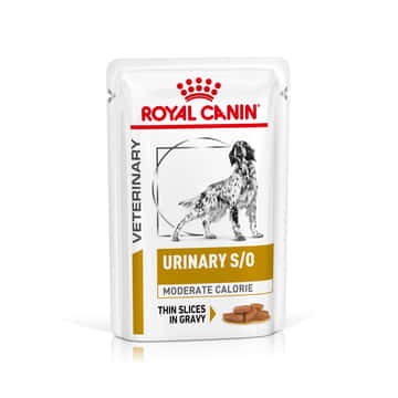 Urinary S/O Dog Moderate Calorie - sachet