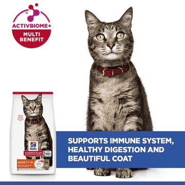 Feline Adult with Lamb