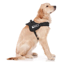 S.W.A.T harnais pour chiens