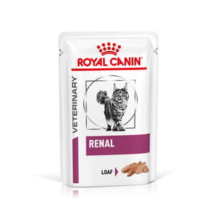 Renal Cat - Loaf