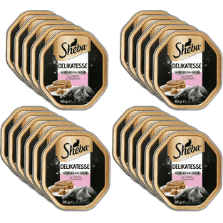 Delikatesse in Gelee mit Lachs