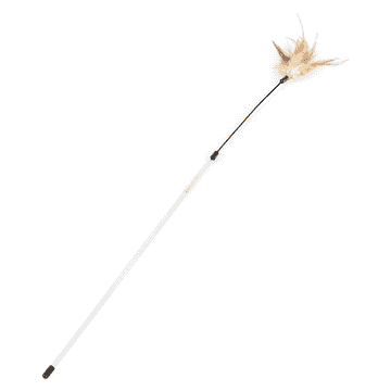 Feather duster Lulu