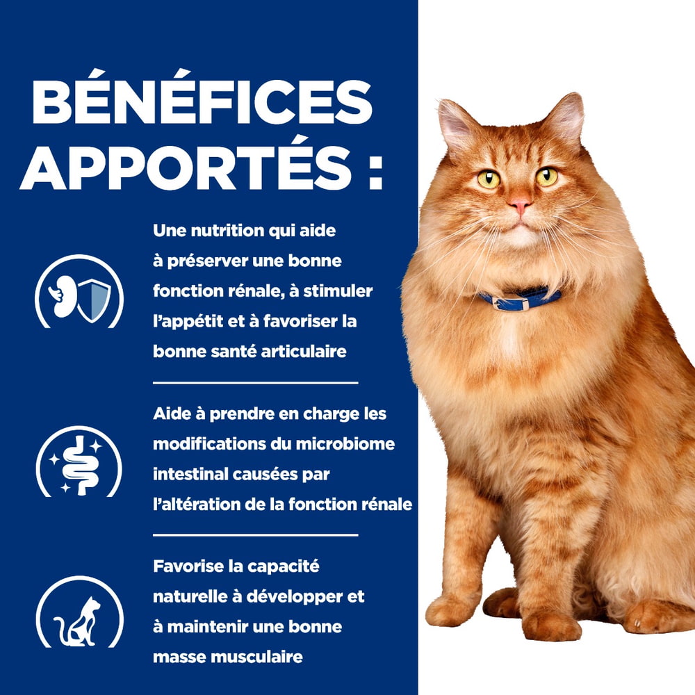 Feline k/d + j/d Kidney + Mobility - Sachet fraîcheur