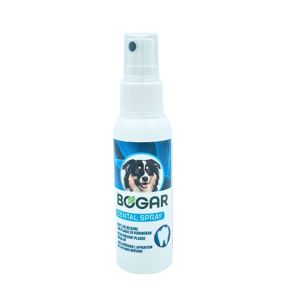 Bogar Dental Spray chien