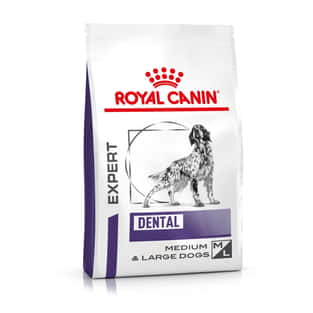 Dental Medium & Large Dogs