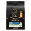 LARGE ROBUST PUPPY Healthy Start