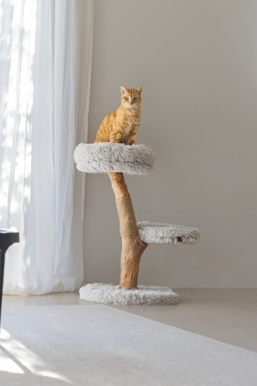 Arbre à chat en bois Zora