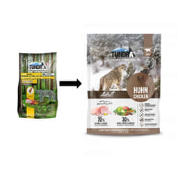 Cat Adult Huhn