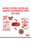 Kitten en sauce - sachet