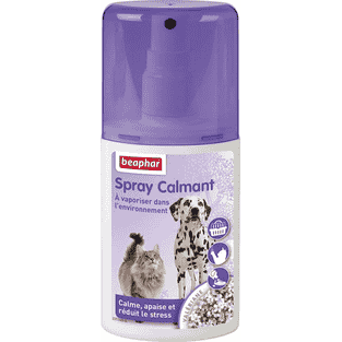 Beruhigungsspray für Hunde und Katzen