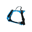 Harnais Vary, turquoise