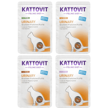 Urinary im Beutel