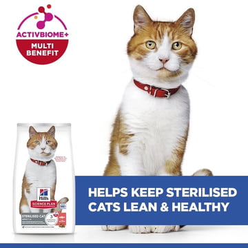 Feline Sterilized Cat Salmon