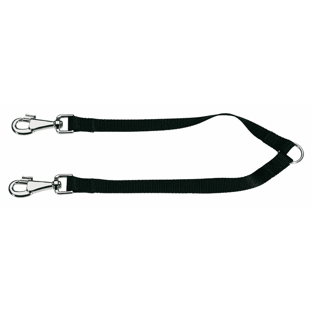 Twin leashes for dogs