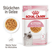 Kitten in Gelée - Frischebeutel
