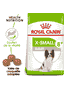 X-Small Adult 8+