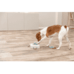 Dog Activity Gamble Box