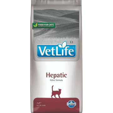Feline Hepatic