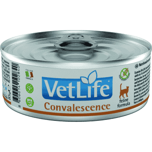 Feline Convalescence - Dose