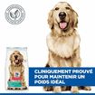 Canine Adult Perfect Weight Large Breed