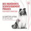Skin & Coat Chews Adult Supplements