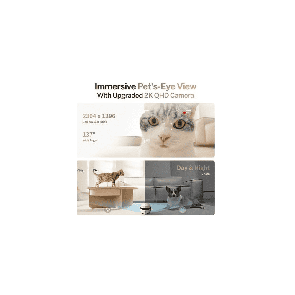ROLA Mini Companion Robot